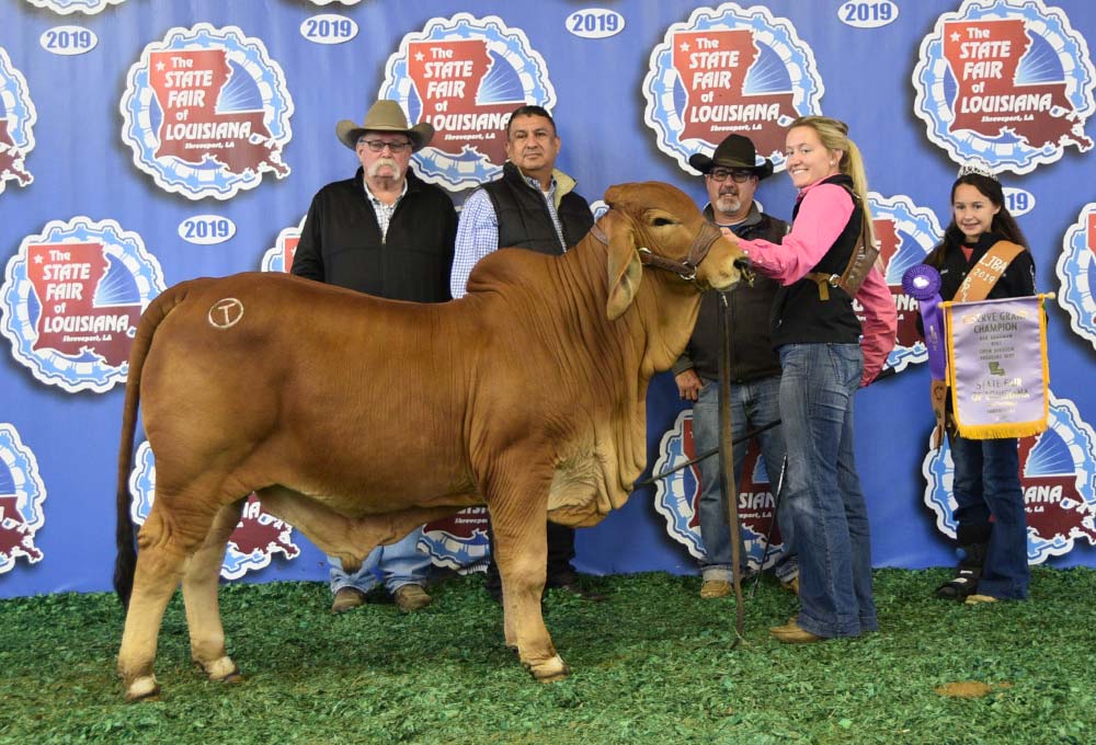 2019 Louisiana State Fair Calf & Reserve Grand Champion